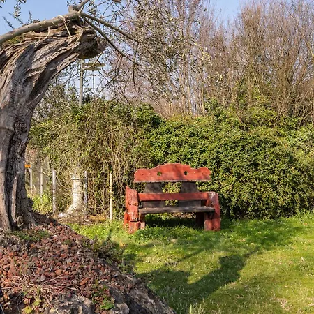 Comfort - Casamerlo ゲストハウス Sacerno